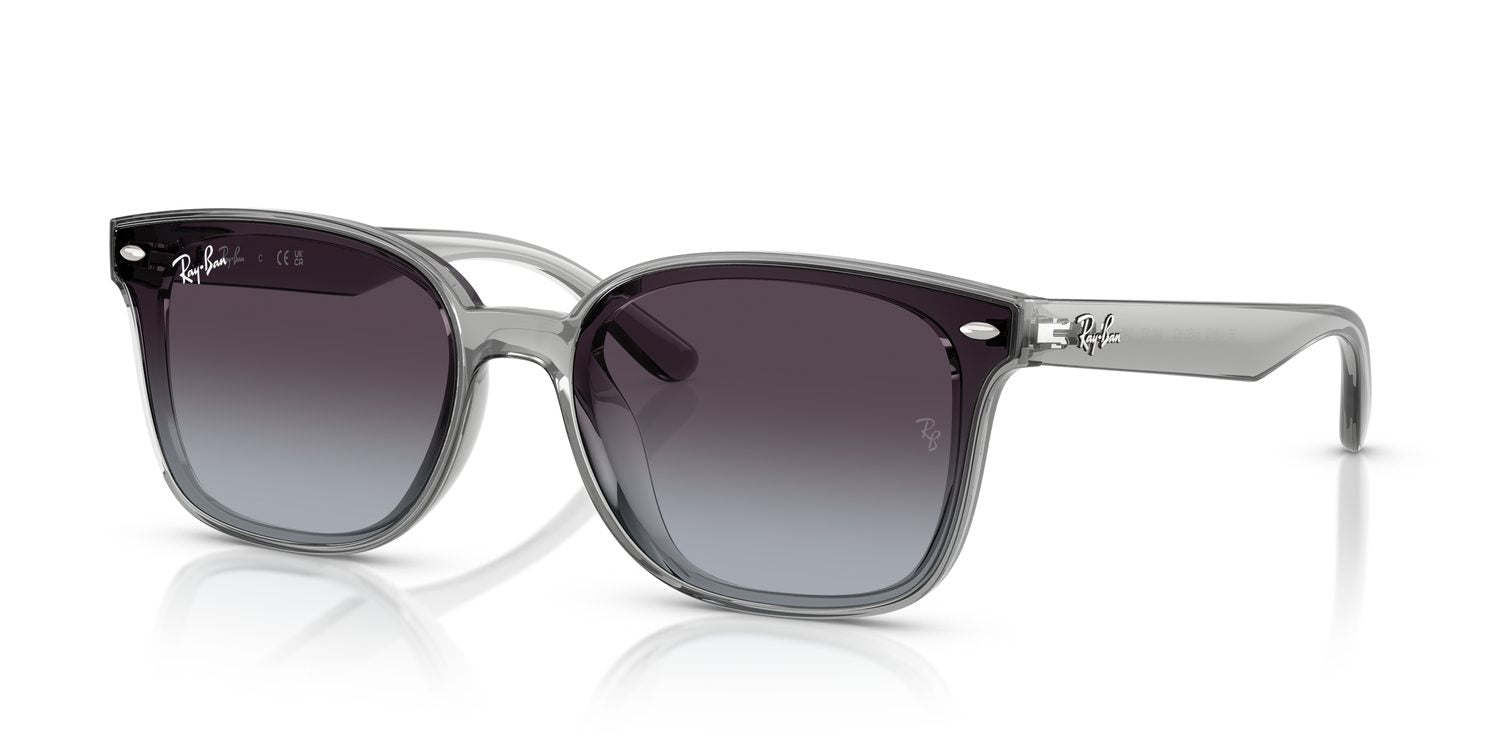 Ray-Ban | 0RB4461D