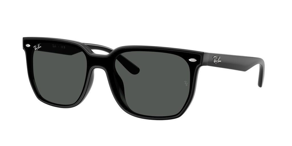 Ray-Ban | 0RB4466D