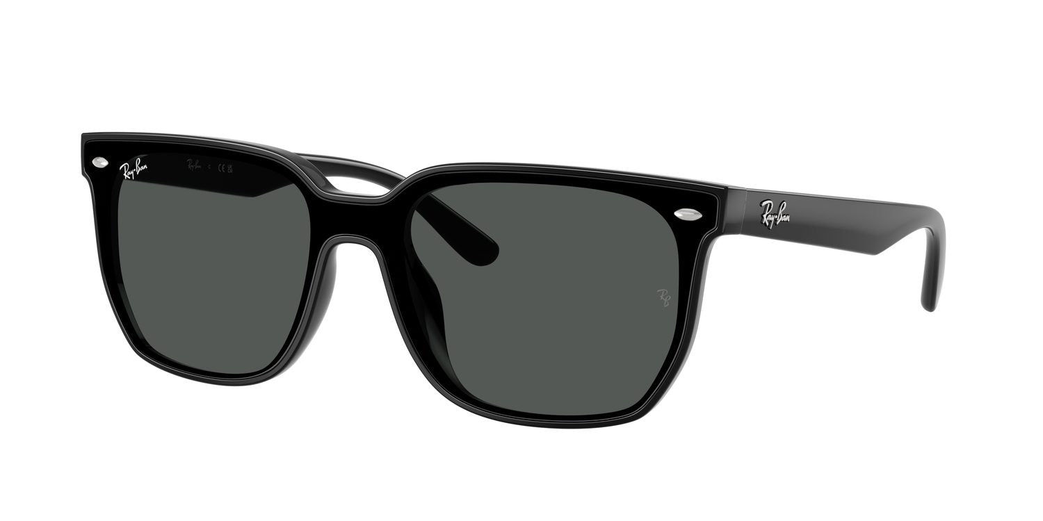 Ray-Ban | 0RB4466D