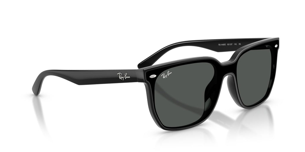 Ray-Ban | 0RB4466D