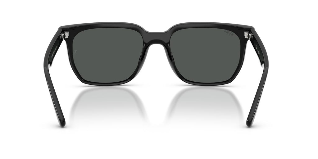 Ray-Ban | 0RB4466D
