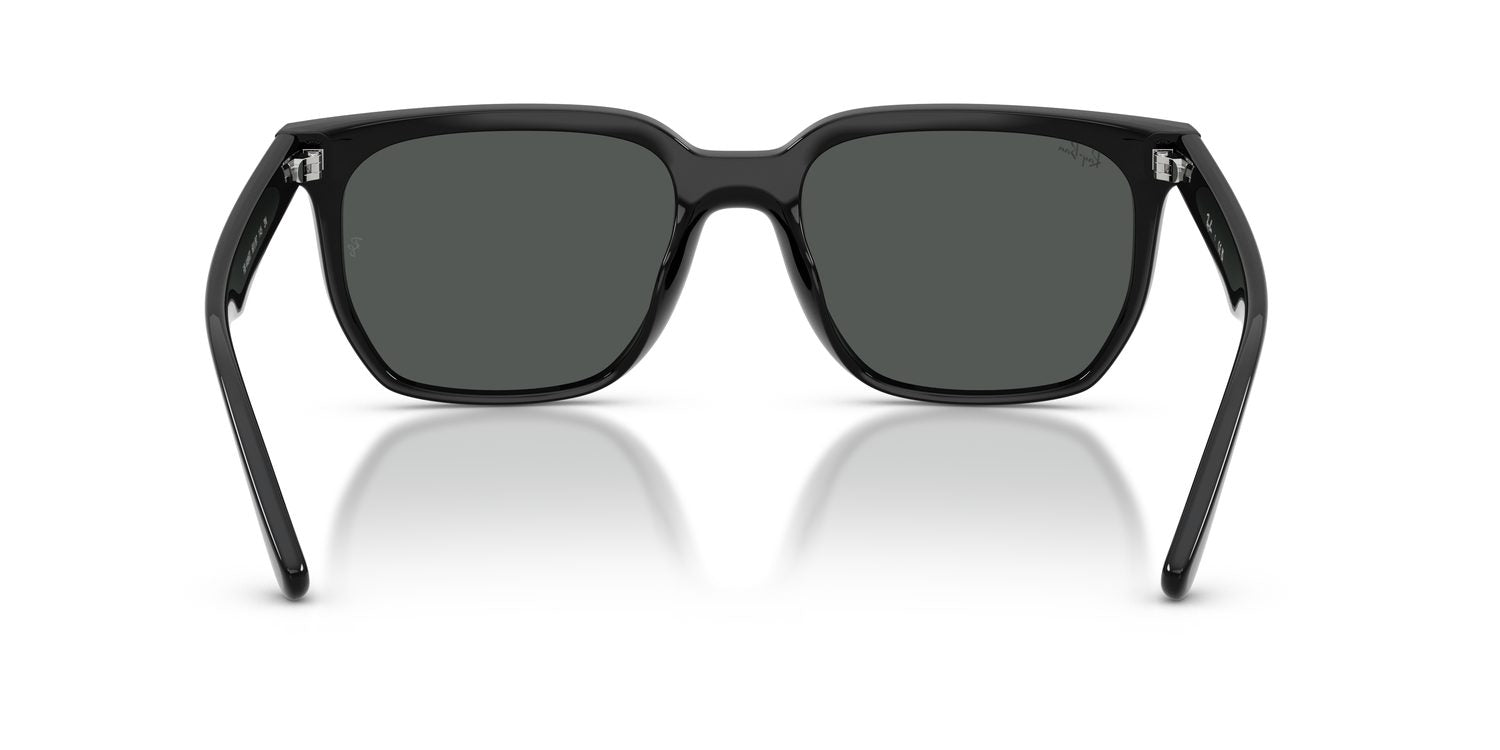 Ray-Ban | 0RB4466D