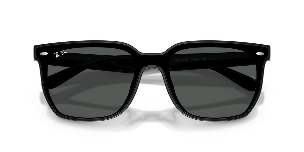 Ray-Ban | 0RB4466D