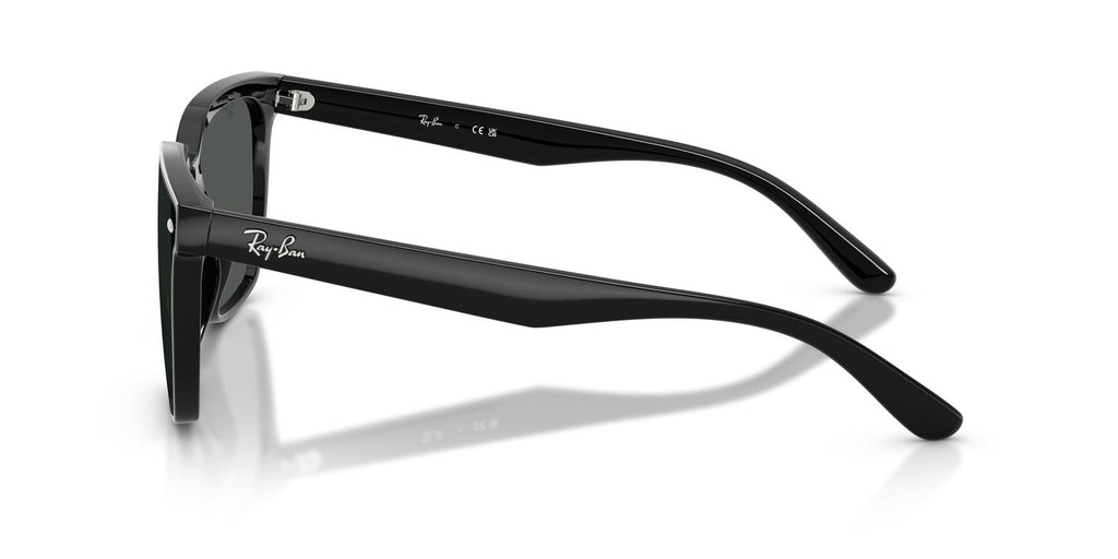 Ray-Ban | 0RB4466D