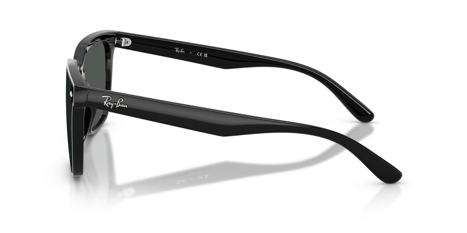 Ray-Ban | 0RB4466D