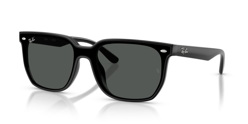 Ray-Ban | 0RB4466D