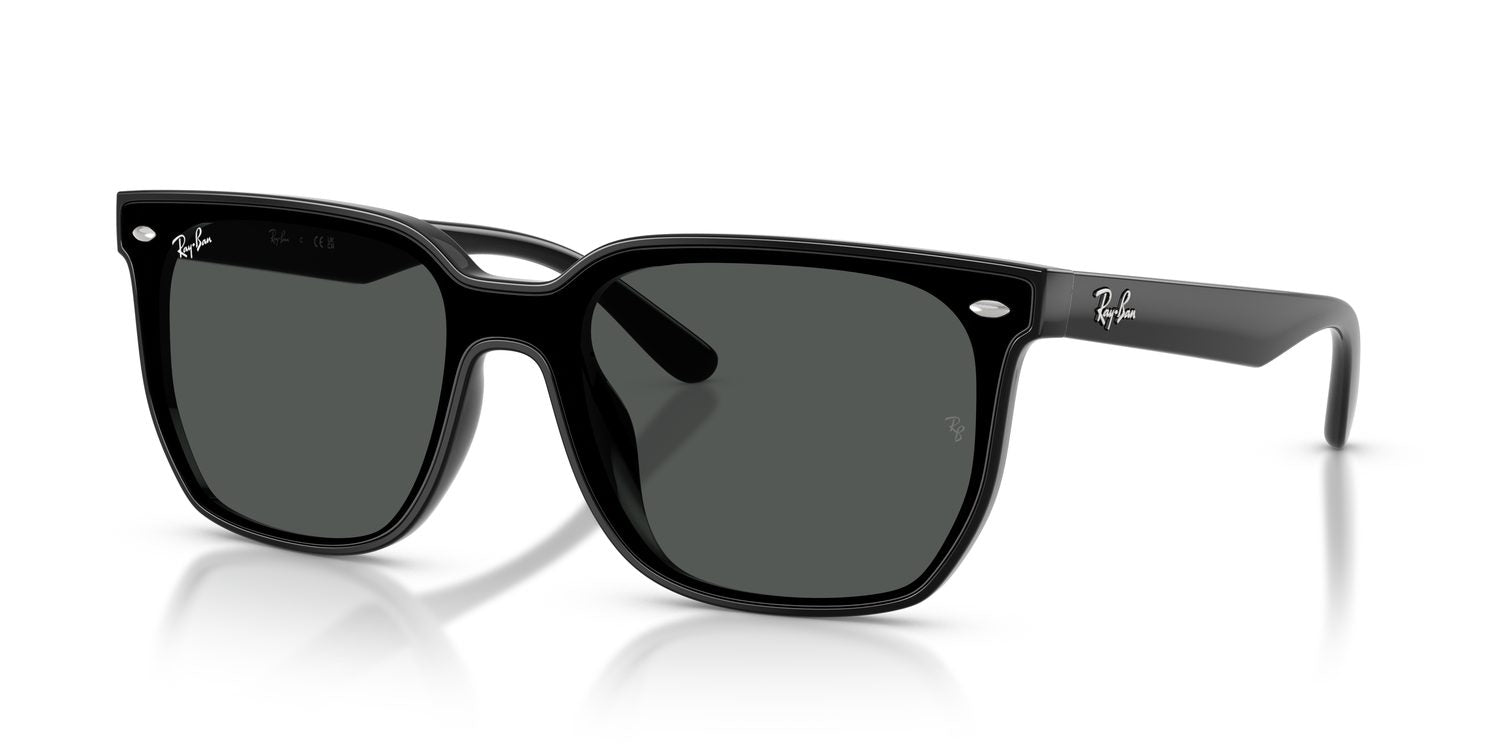 Ray-Ban | 0RB4466D