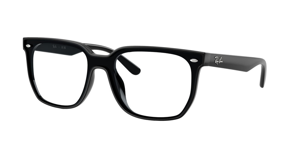 Ray-Ban | 0RB4466D