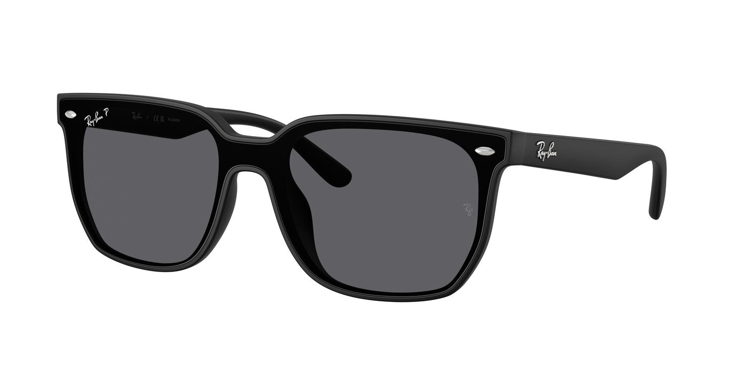 Ray-Ban | 0RB4466D