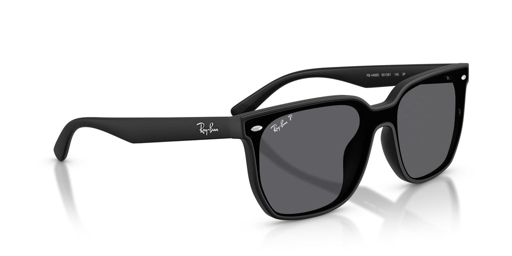 Ray-Ban | 0RB4466D