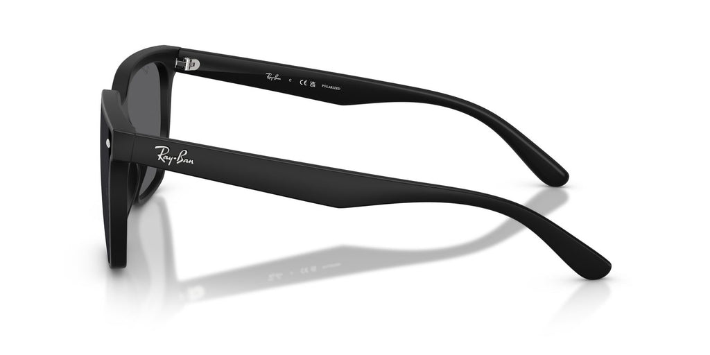 Ray-Ban | 0RB4466D