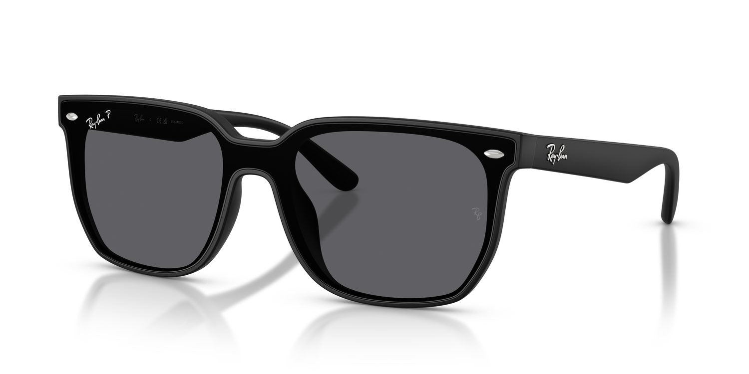 Ray-Ban | 0RB4466D
