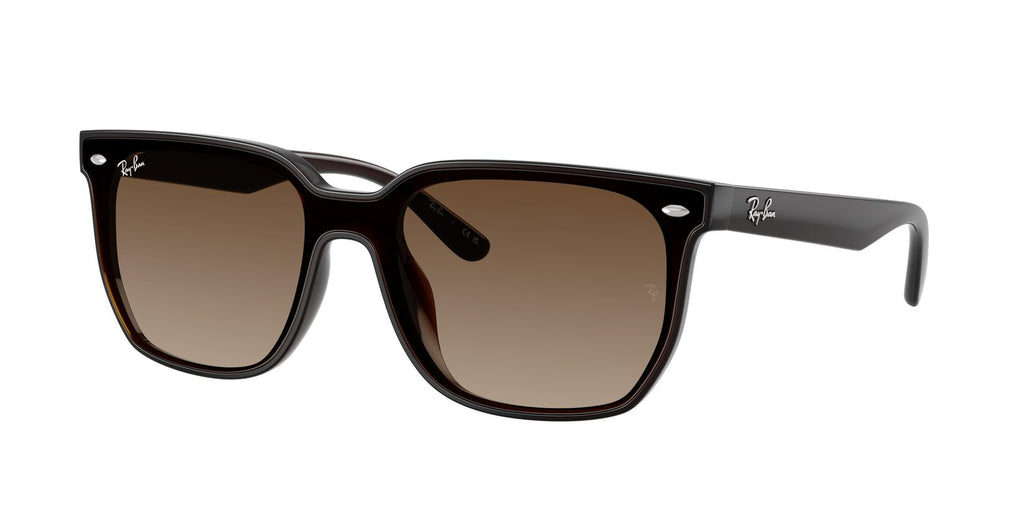 Ray-Ban | 0RB4466D
