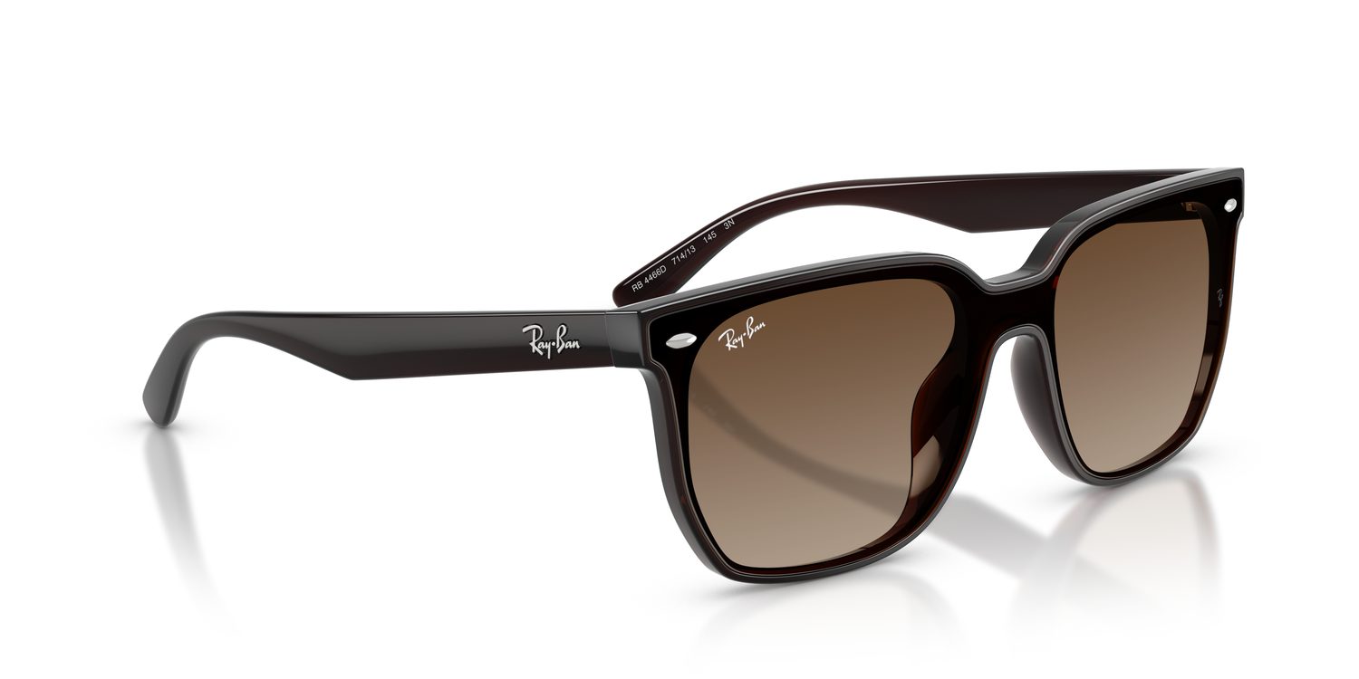 Ray-Ban | 0RB4466D