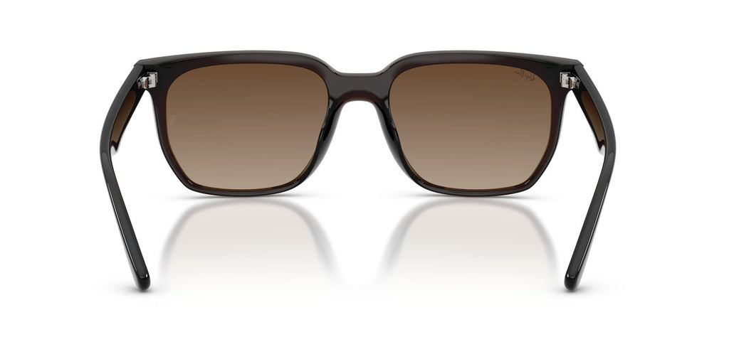 Ray-Ban | 0RB4466D