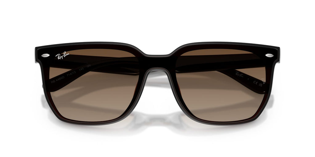 Ray-Ban | 0RB4466D