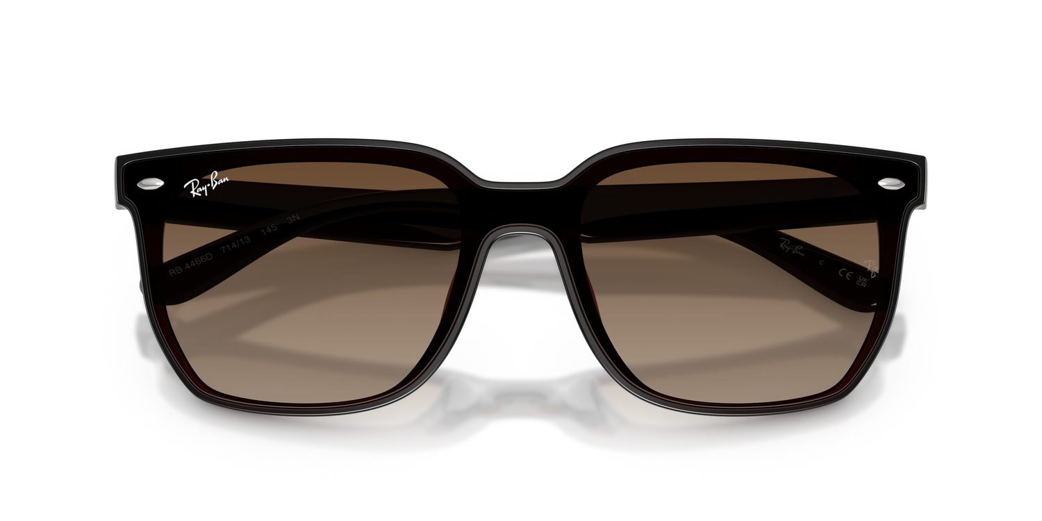 Ray-Ban | 0RB4466D