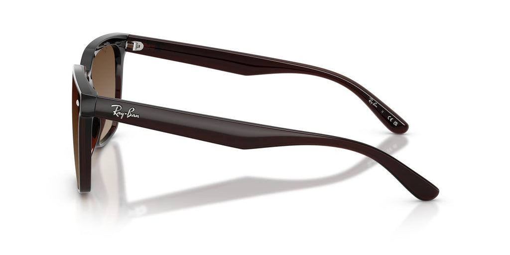 Ray-Ban | 0RB4466D