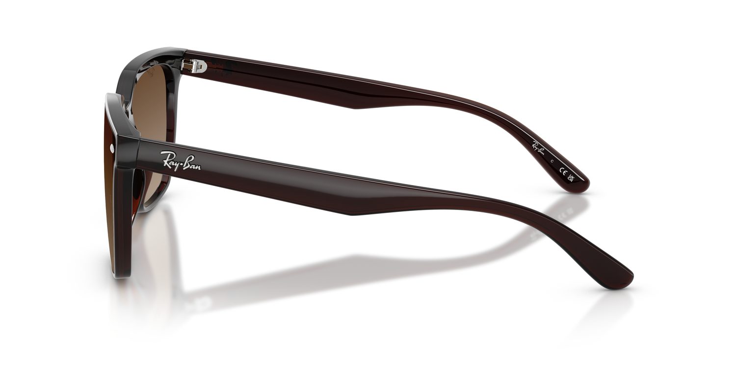 Ray-Ban | 0RB4466D
