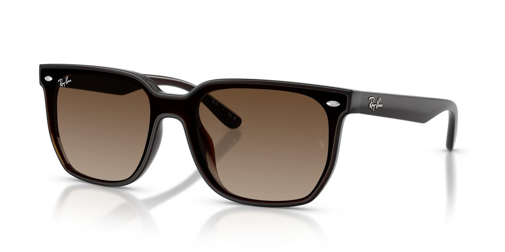 Ray-Ban | 0RB4466D