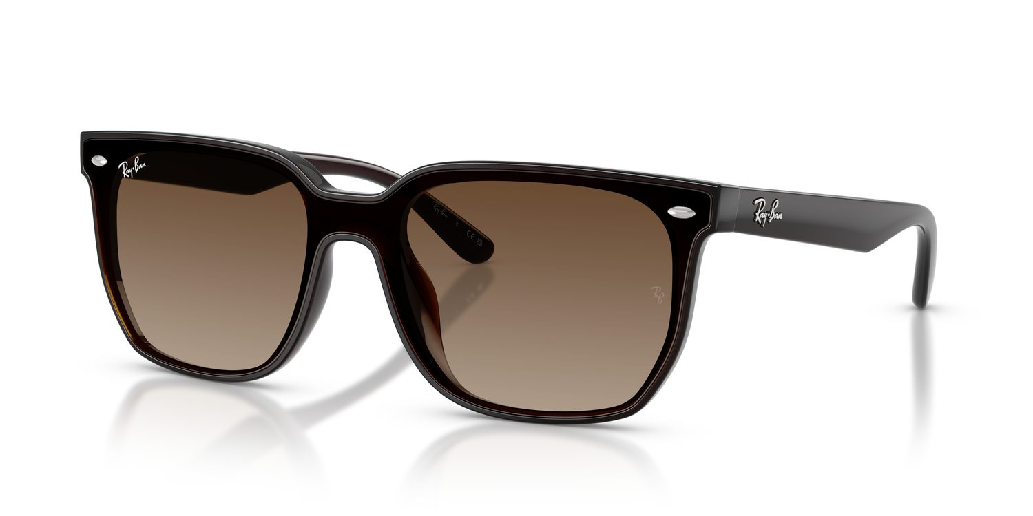 Ray-Ban | 0RB4466D
