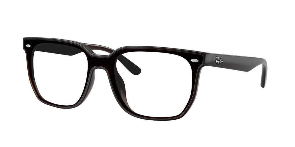 Ray-Ban | 0RB4466D