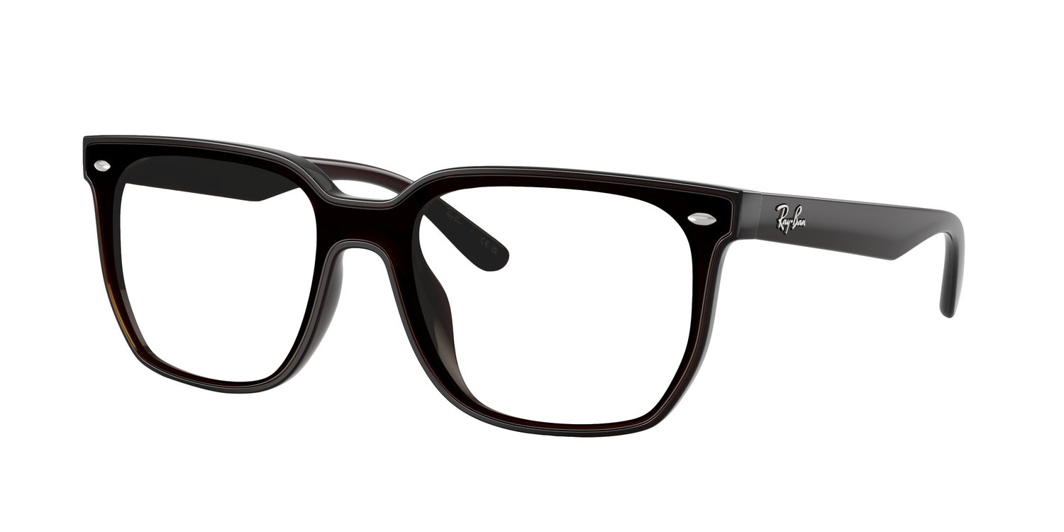 Ray-Ban | 0RB4466D