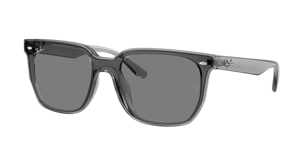 Ray-Ban | 0RB4466D