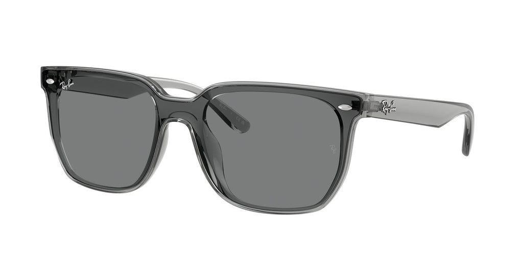 Ray-Ban | 0RB4466D