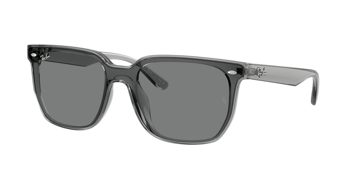 Ray-Ban | 0RB4466D