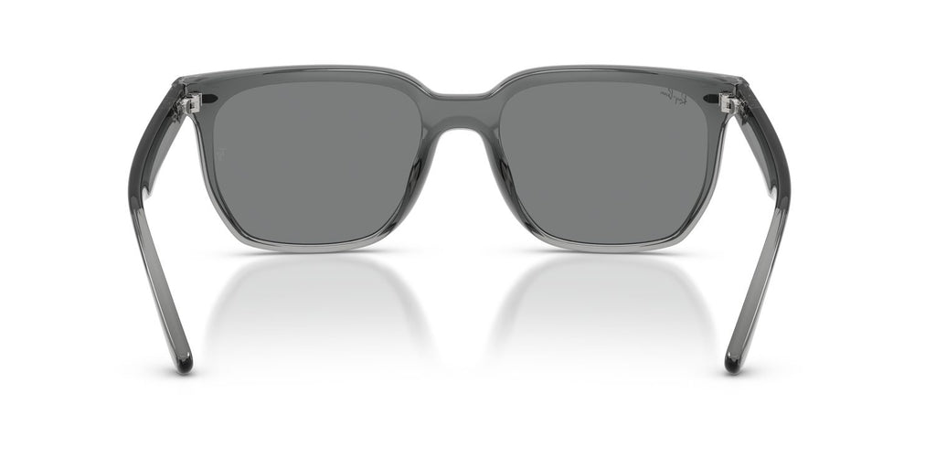 Ray-Ban | 0RB4466D