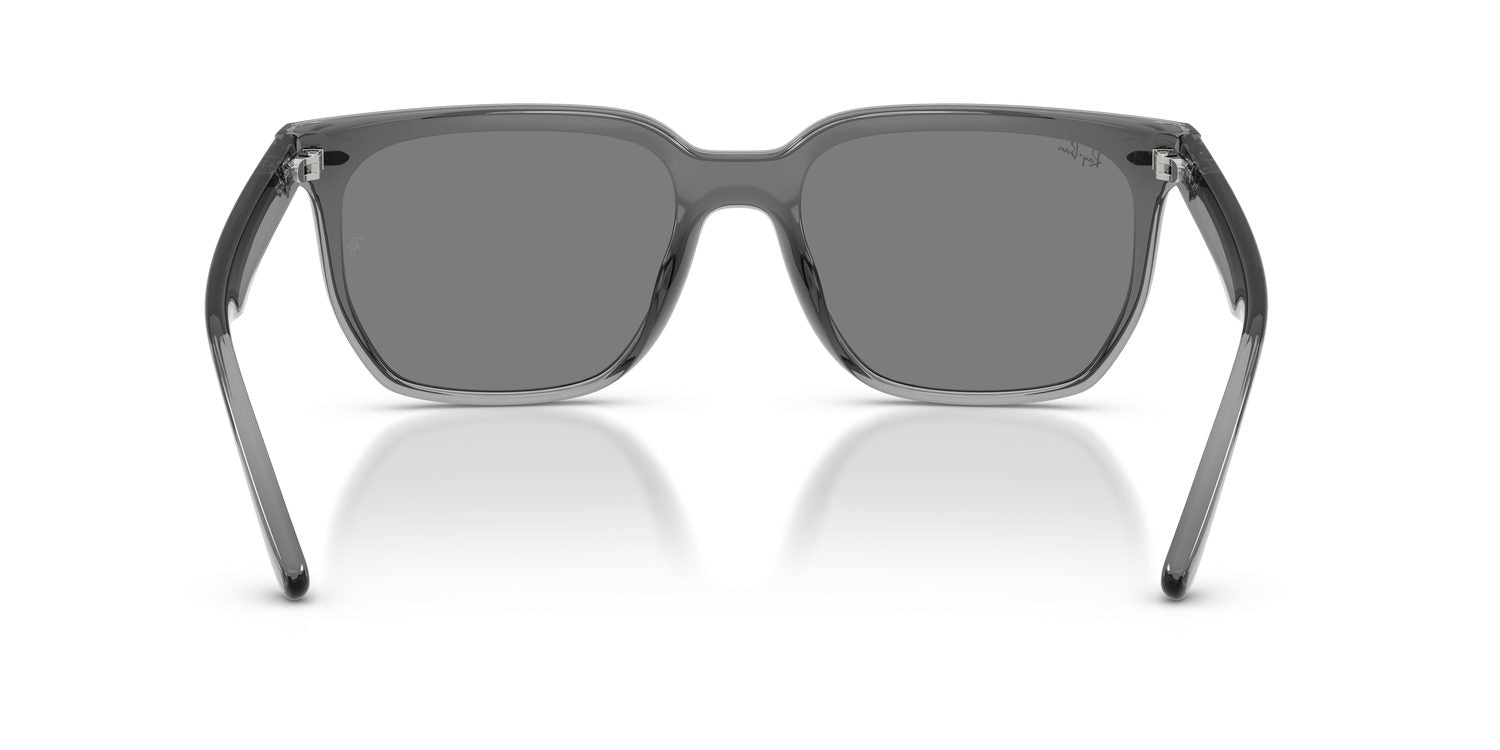 Ray-Ban | 0RB4466D
