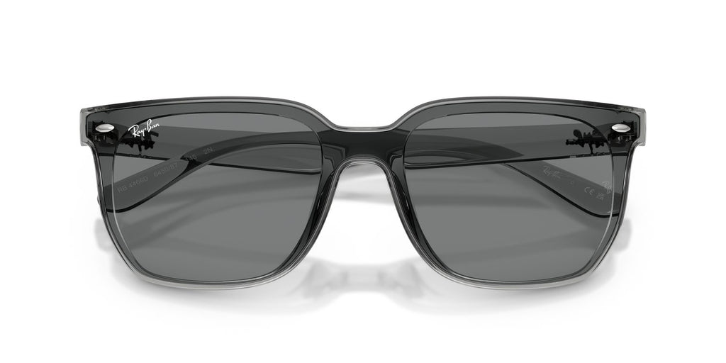 Ray-Ban | 0RB4466D