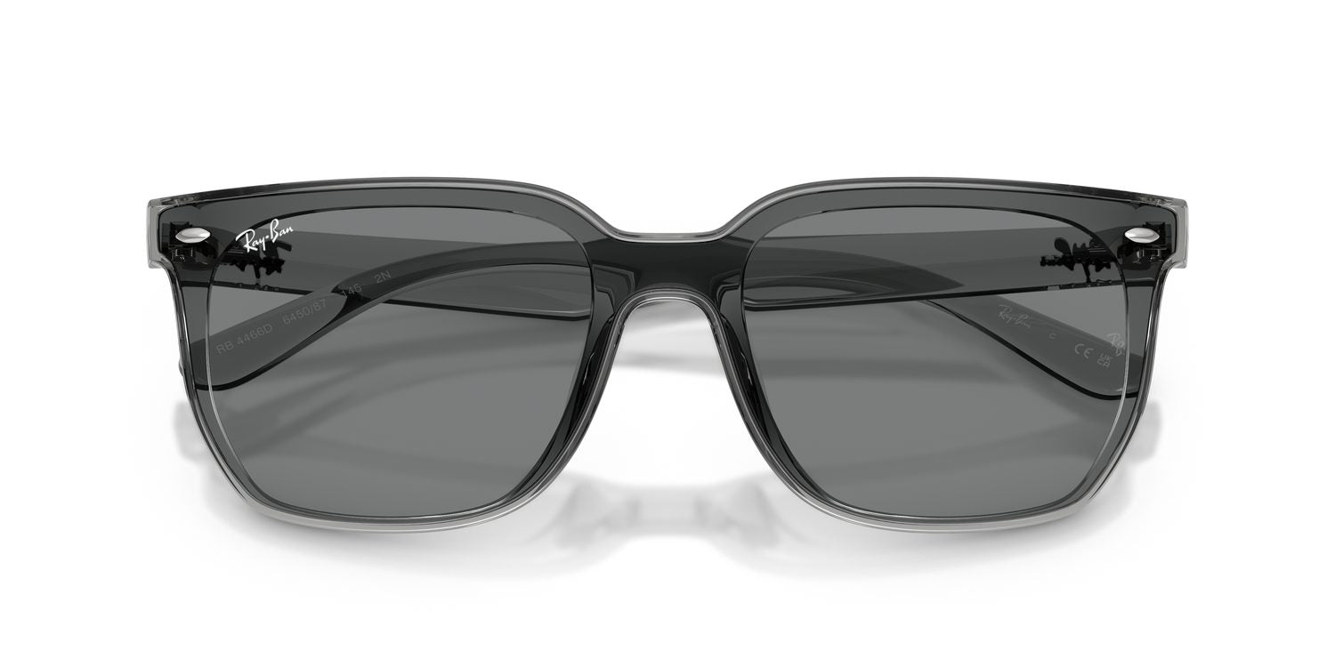Ray-Ban | 0RB4466D