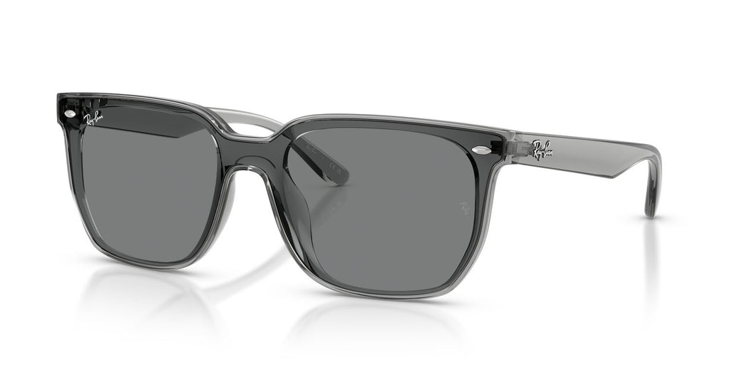 Ray-Ban | 0RB4466D