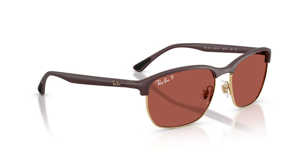 Ray-Ban | 0RB4469