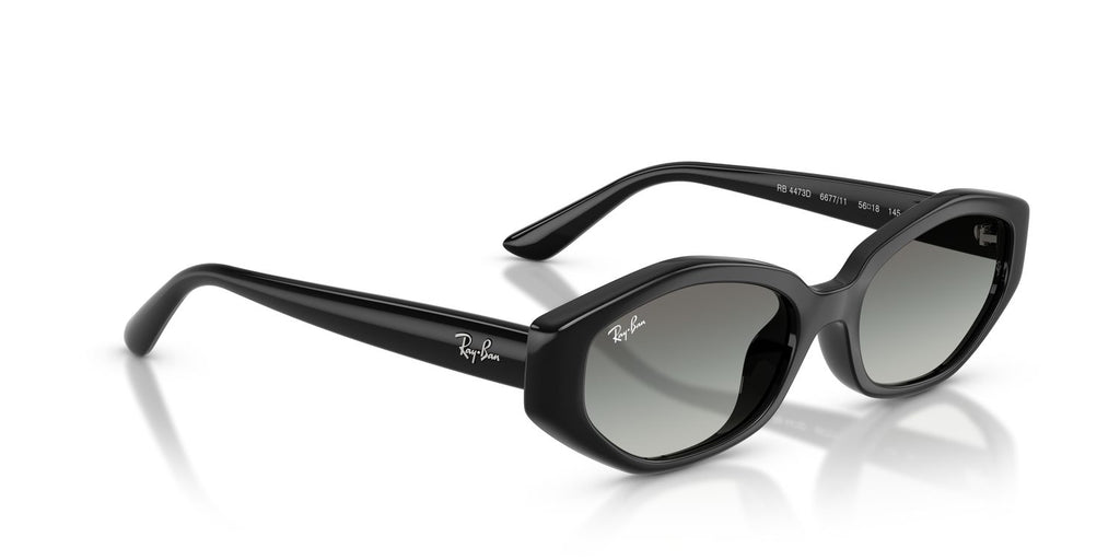 Ray-Ban | 0RB4473D