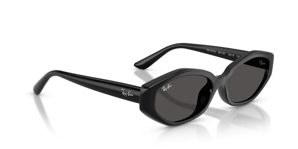 Ray-Ban | 0RB4473D
