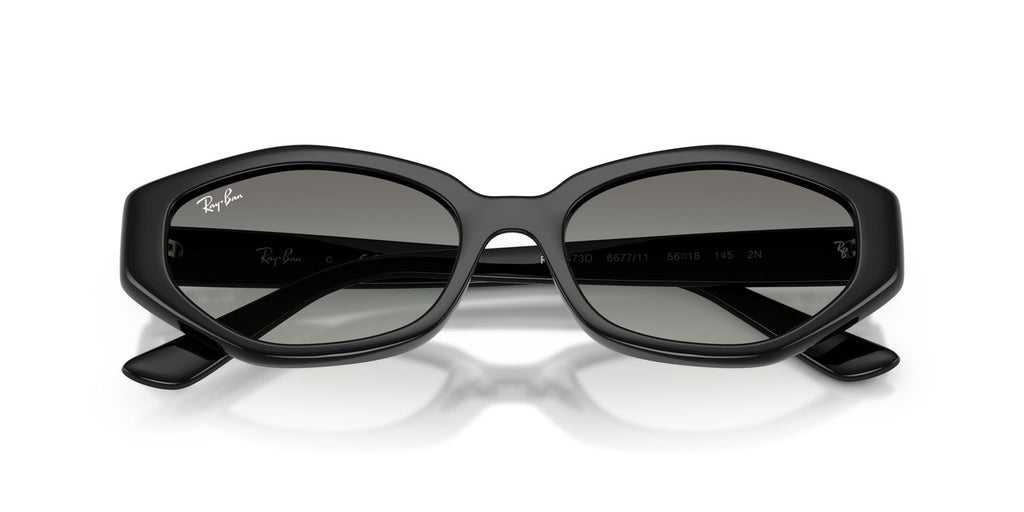 Ray-Ban | 0RB4473D