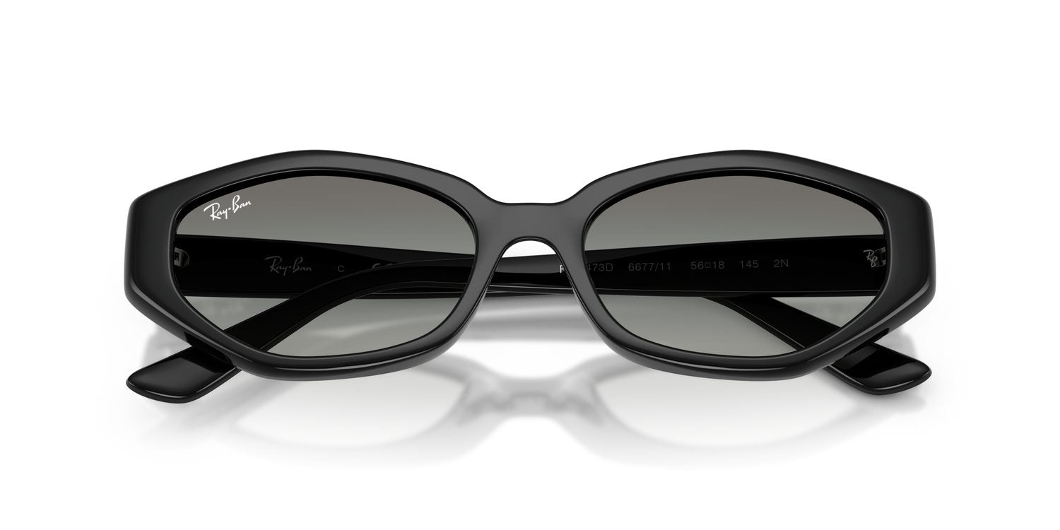 Ray-Ban | 0RB4473D