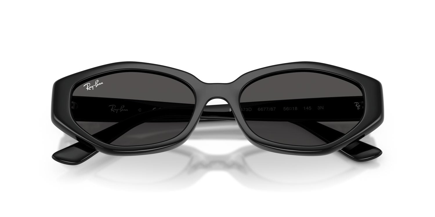 Ray-Ban | 0RB4473D
