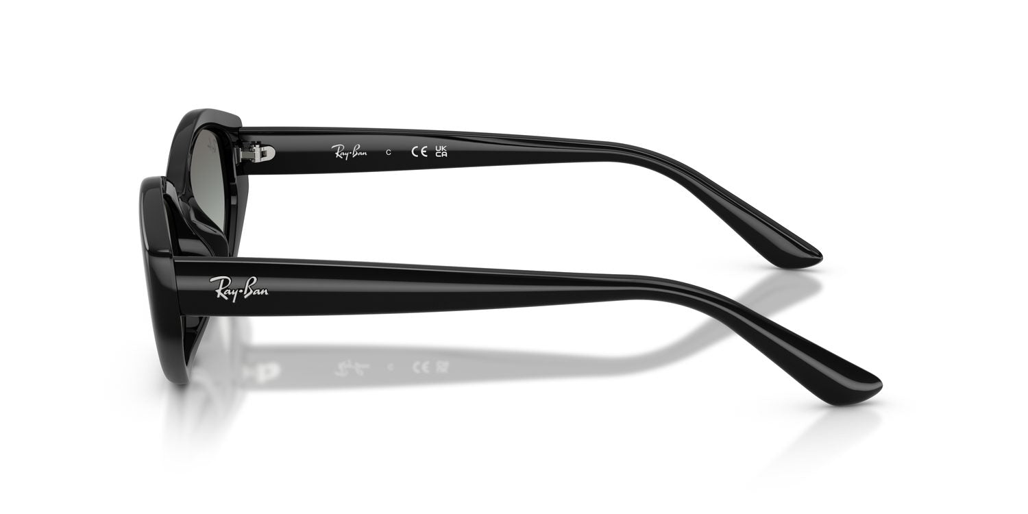 Ray-Ban | 0RB4473D