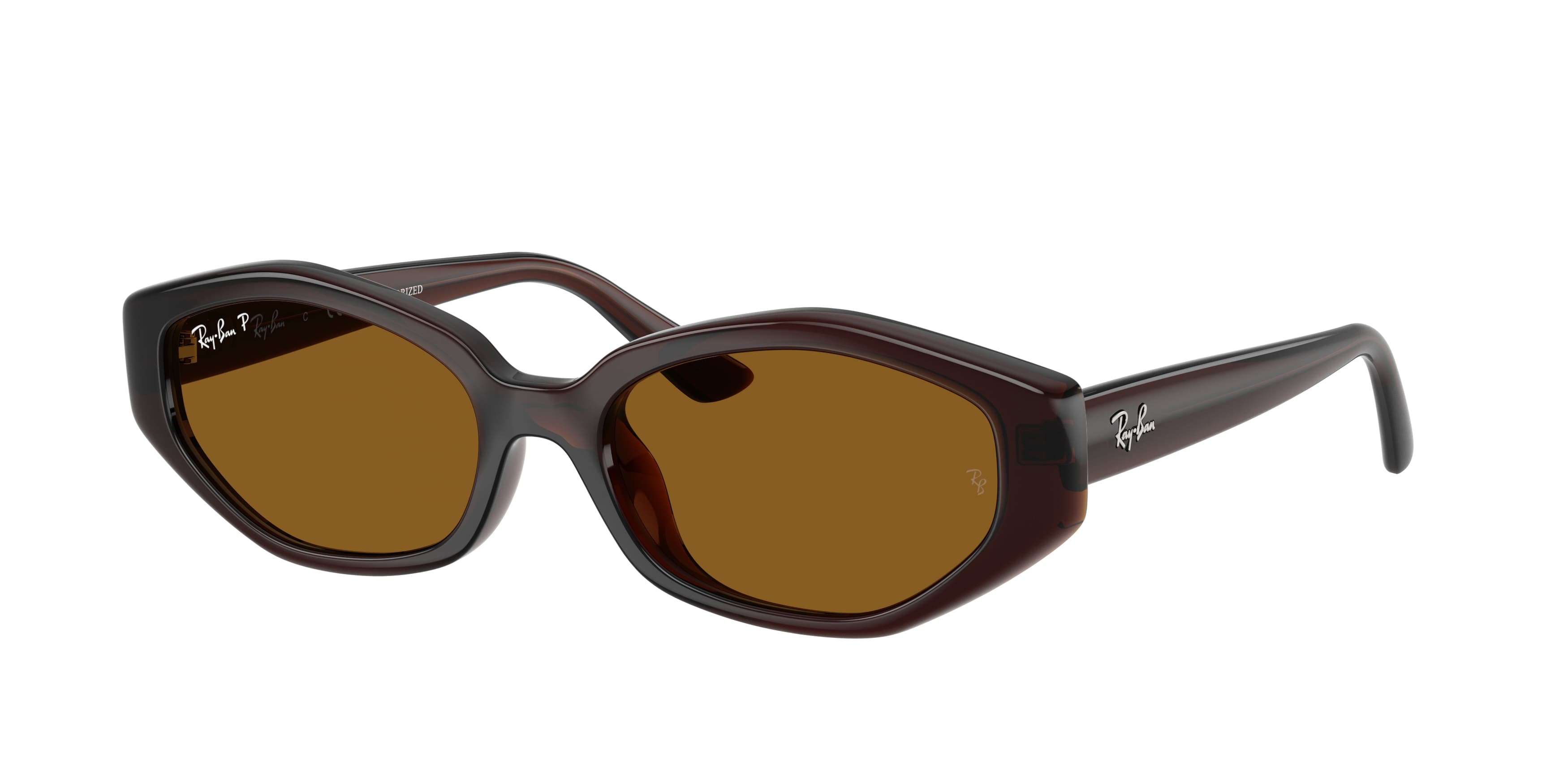 Ray-Ban | 0RB4473D