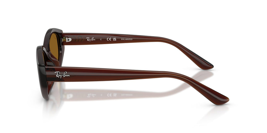 Ray-Ban | 0RB4473D