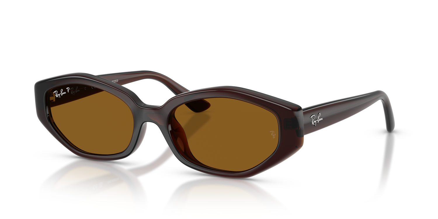 Ray-Ban | 0RB4473D