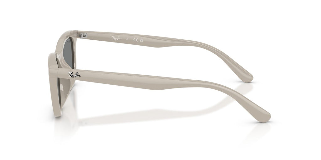 Ray-Ban | 0RB4474D