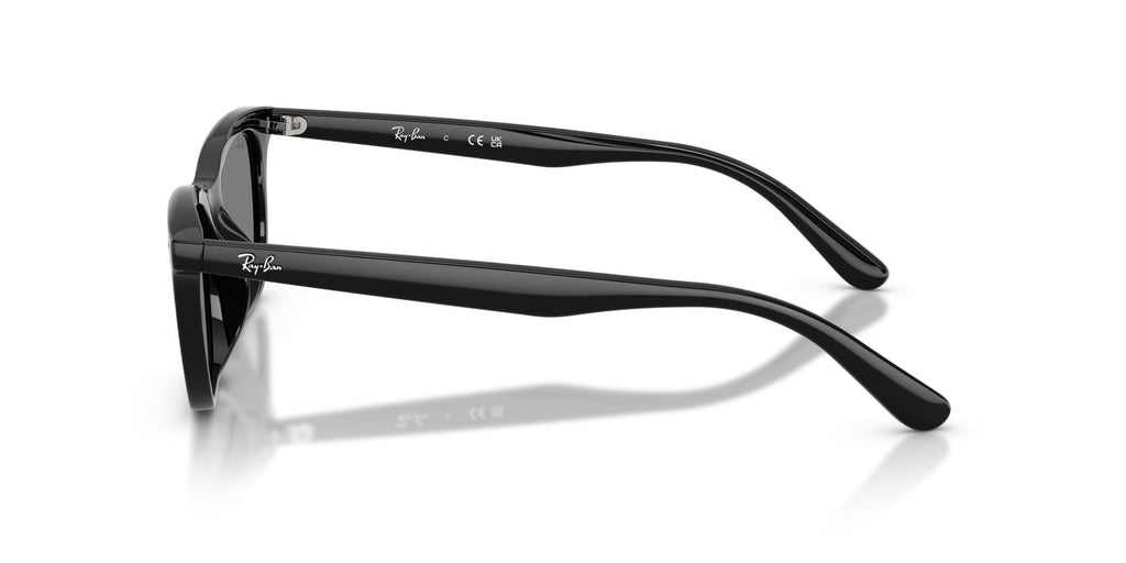 Ray-Ban | 0RB4474D