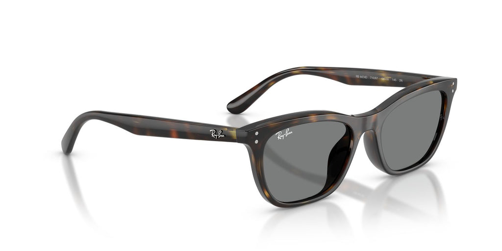 Ray-Ban | 0RB4474D