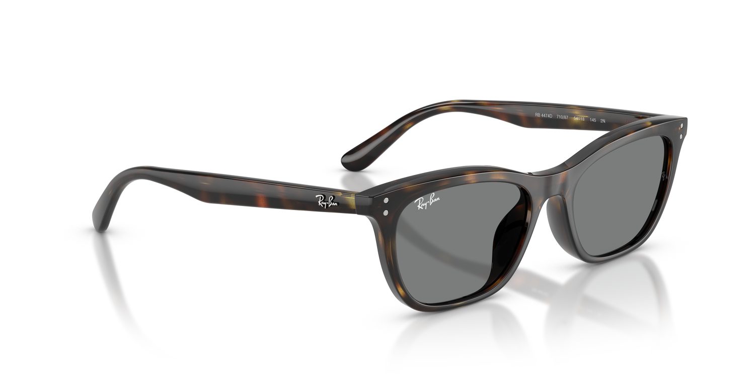 Ray-Ban | 0RB4474D