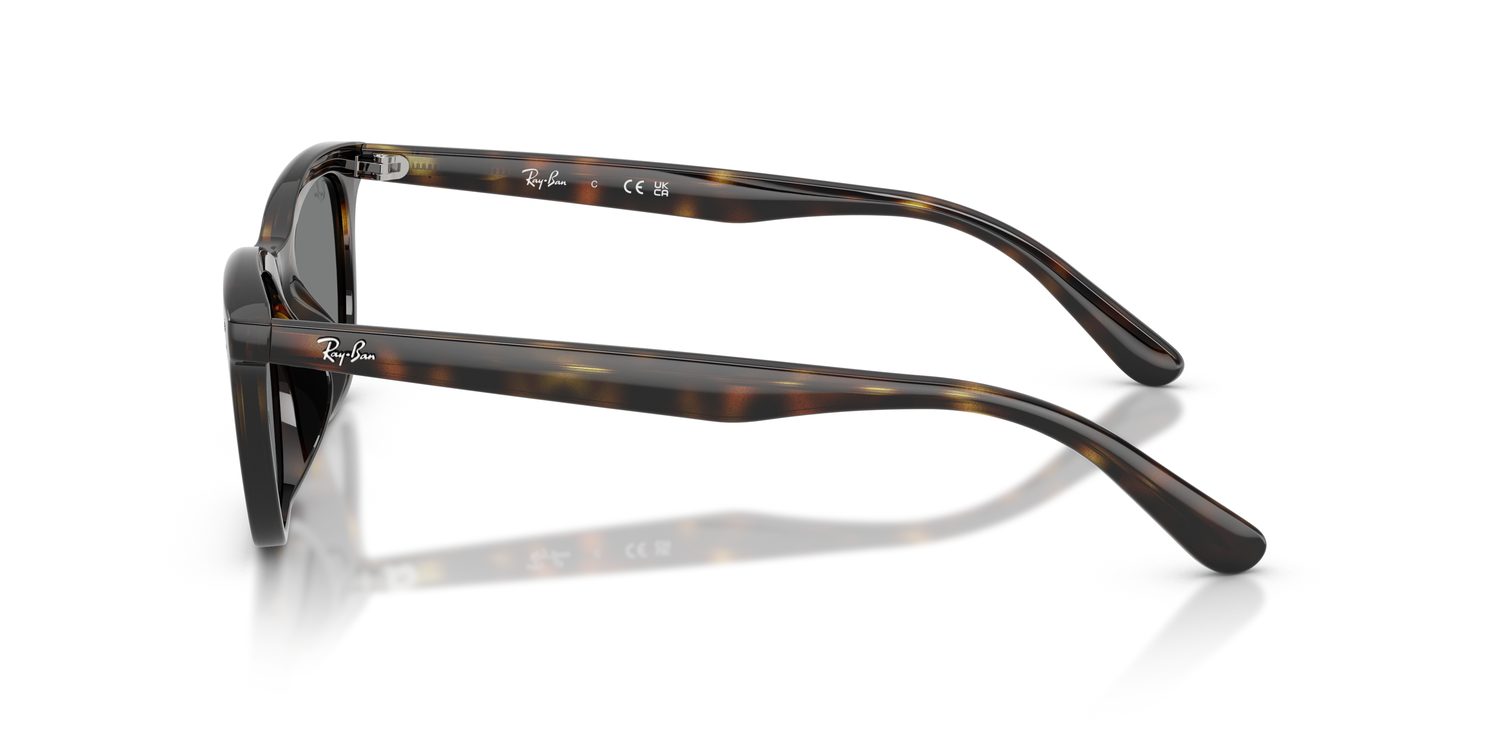 Ray-Ban | 0RB4474D